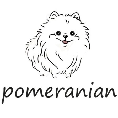 Шпиц раскраска для детей