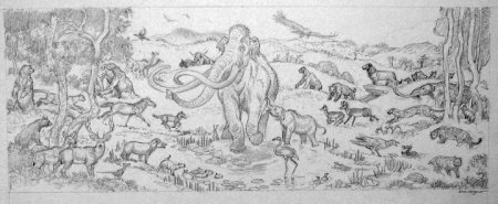 Стадо Мамонтов рисунок