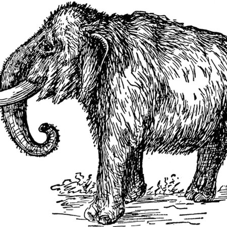 Охота на мамонта вектор