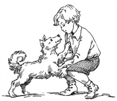 Собака раскраска для детей