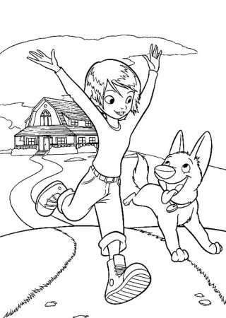 Раскраска собачья упряжка