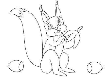 Белка шаблон для рисования