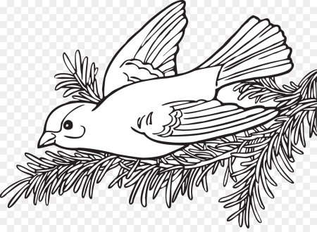 Птичка в кормушке раскраска