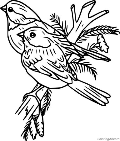 Раскраски на тему зимующие птицы