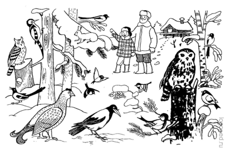 Нищева зимующие птицы старшая группа