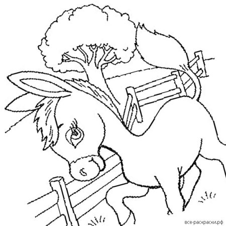 Раскраска. Конек-горбунок