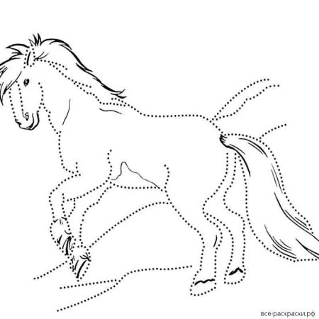 П П Ершов конек горбунок раскраска