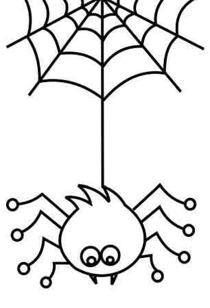 Паучок раскраска для малышей