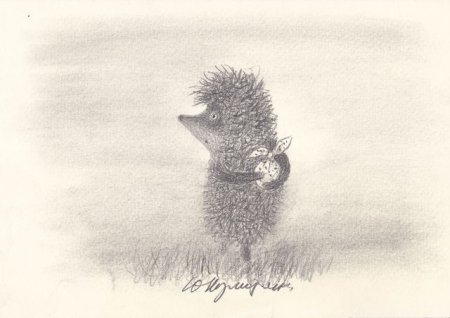 Ежикв Тумене раскраска