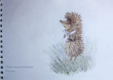 Ежик в тумане