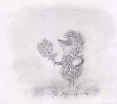 Ежик в тумане