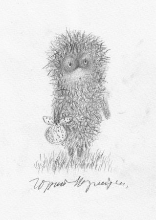Ежик в тумане