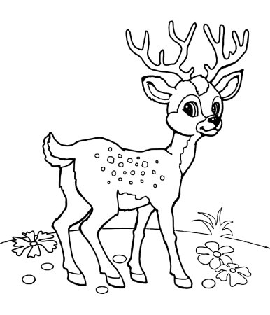 Раскраски для детей природа и животные