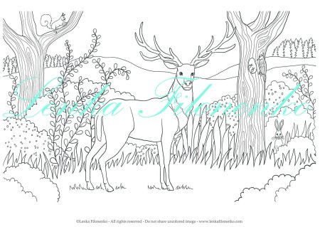 Раскраска олень в лесу