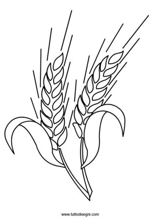 Колосок раскраска