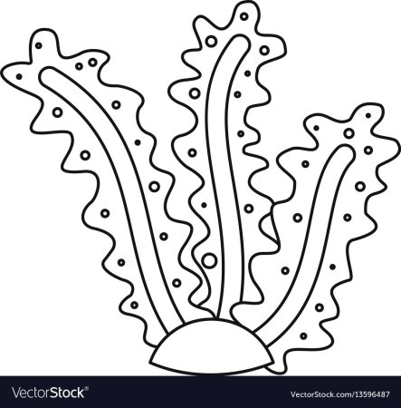 Кораллы раскраска для детей