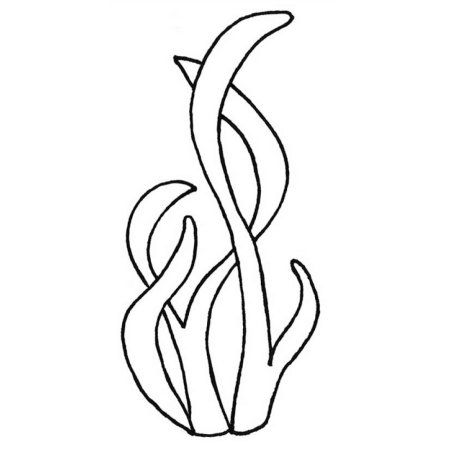 Кораллы раскраска