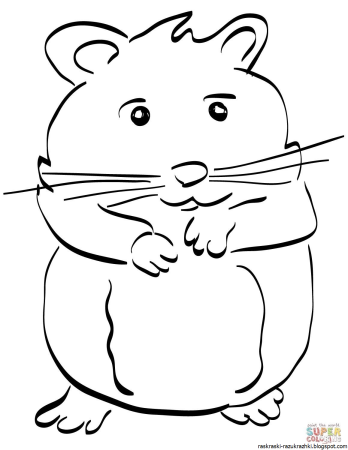 Раскраска хомячок