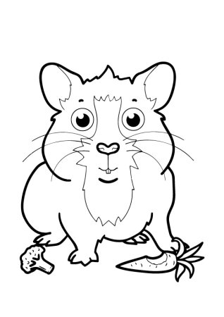 Хомяк раскраска для детей