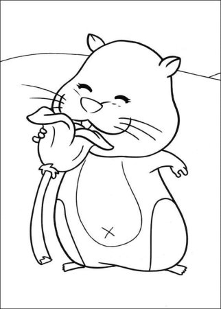 Раскраска хомяк