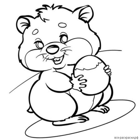 Раскраска джунгарский хомячок