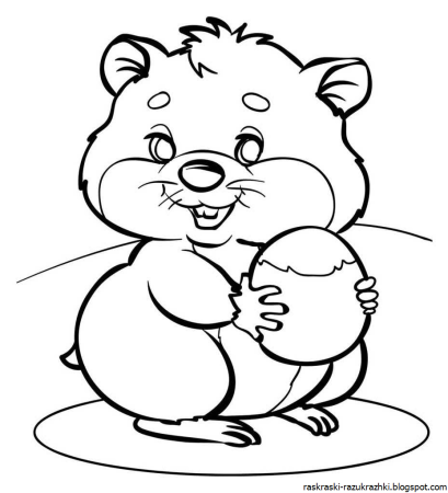 Хомяк раскраска для детей