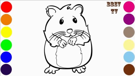 Раскраска хомяк