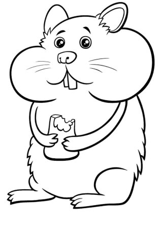 Раскраски хомяки джунгарики