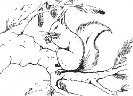 Пришвин беличья память раскраска