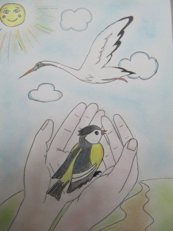 Кормушка для птиц раскраска