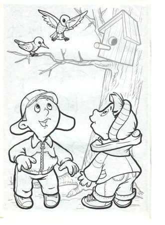 Не разоряй птичьи гнезда раскраска