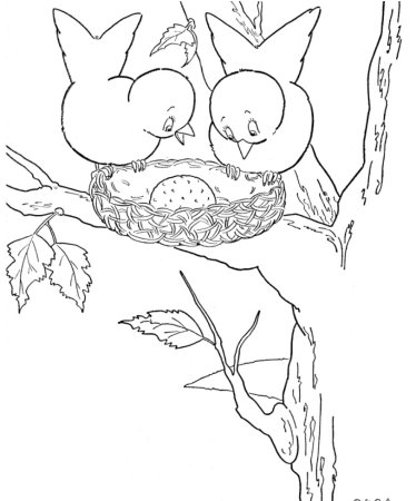 Раскраски природа птицы