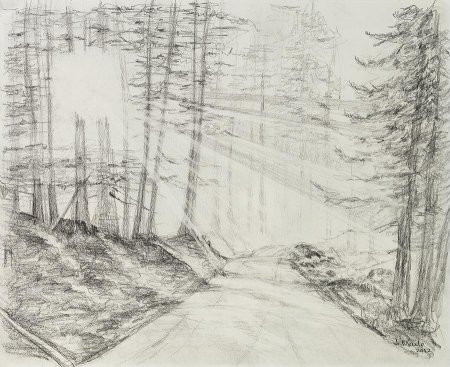 Пейзаж карандашом лес