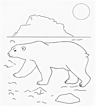 Арктика рисунок карандашом