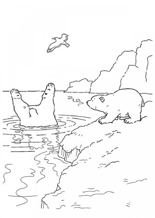 Животные Арктики раскраски для детей