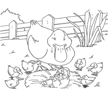 Раскраски к сказке Гадкий утенок Андерсена
