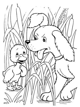 Андерсен Гадкий утенок раскраска для детей