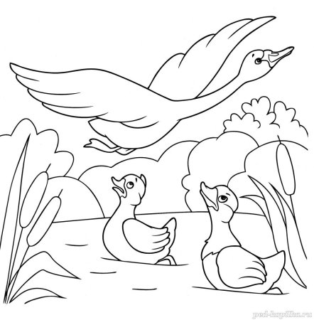 Андерсен Гадкий утенок раскраска