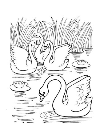 Рпаскраска г.х. Андерсен «Гадкий утенок»