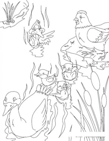 Раскраски к сказке Гадкий утенок Андерсена