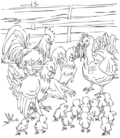 Раскраска птичий двор