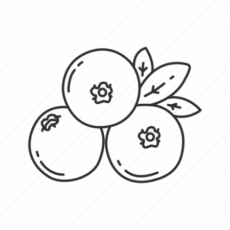 Раскраска ягода брусника