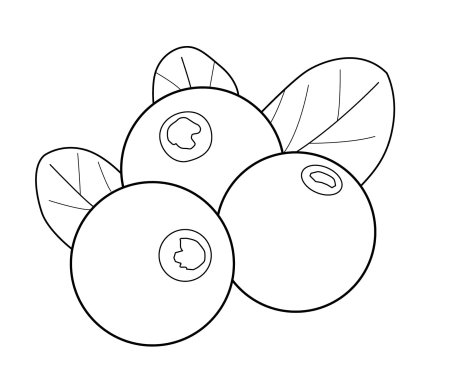 Раскраска ягоды черника