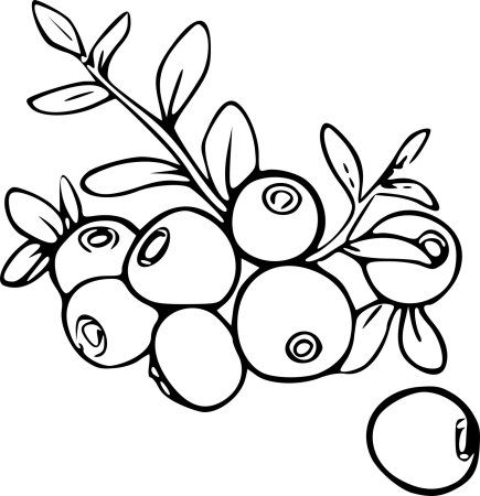 Черника раскраска