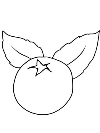 Голубика раскраска для детей