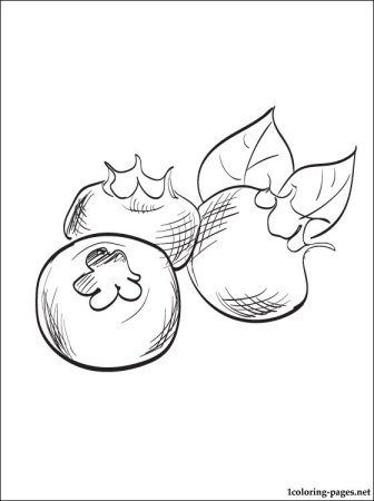 Черника раскраска для детей