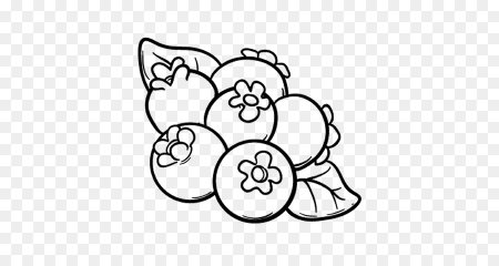 Черника раскраска