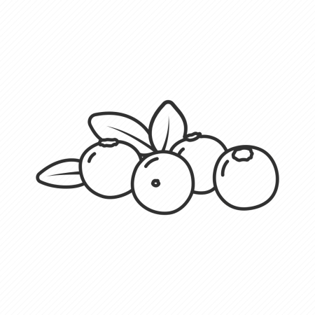 Рисование ягоды