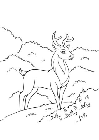 Раскраска Бажова серебряное копытце