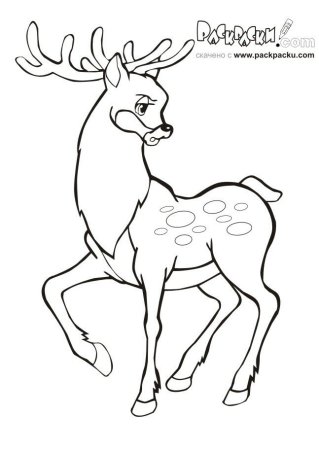 Раскраска к рассказу серебряное копытце